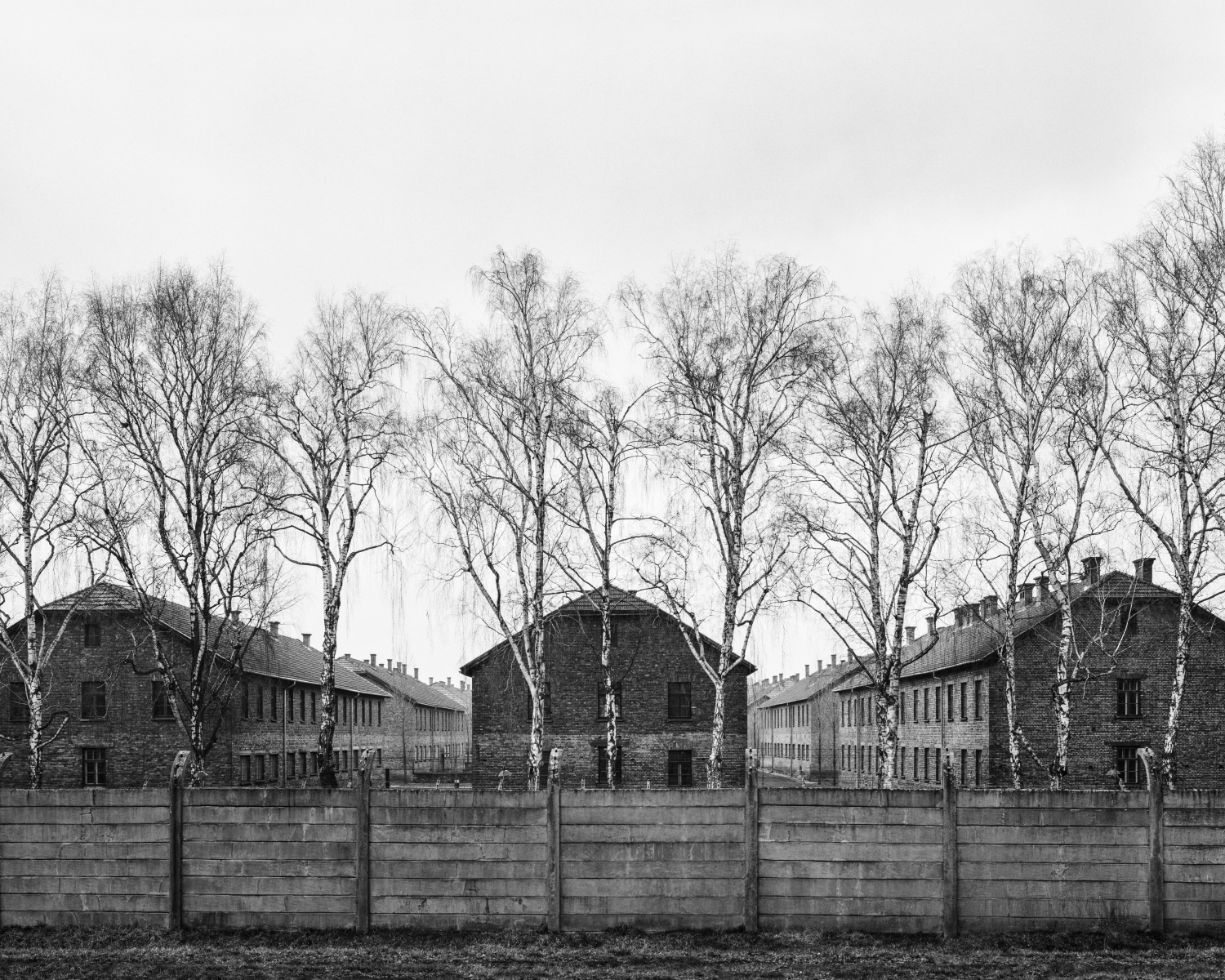 Schwarz-weiß Foto von Baracken auf dem Gelände des KZ Auschwitz